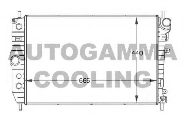 AUTOGAMMA 102129 Радіатор, охолодження двигуна