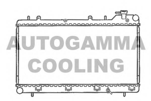 AUTOGAMMA 102308 Радіатор, охолодження двигуна