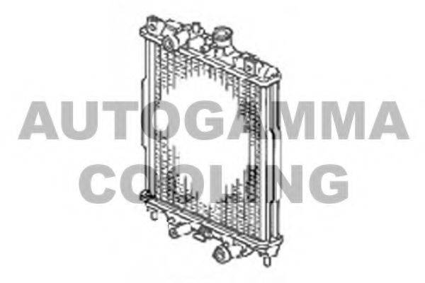 AUTOGAMMA 102907 Радіатор, охолодження двигуна