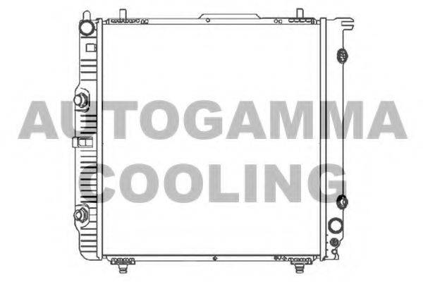 AUTOGAMMA 103266 Радіатор, охолодження двигуна