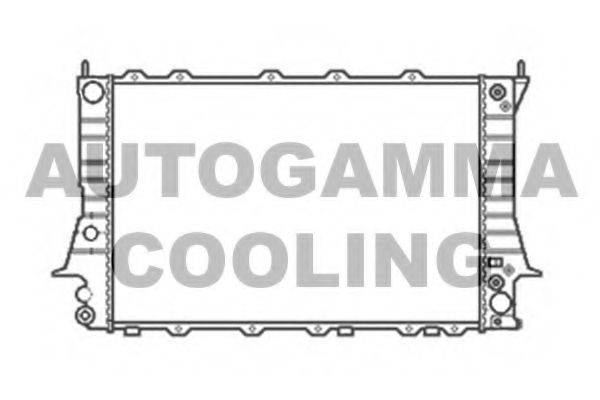 AUTOGAMMA 104166 Радіатор, охолодження двигуна