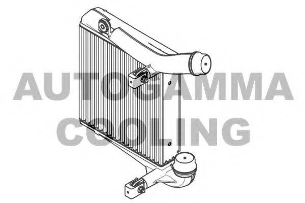 AUTOGAMMA 105954 Інтеркулер