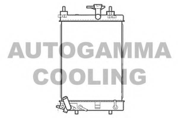 AUTOGAMMA 107206 Радіатор, охолодження двигуна