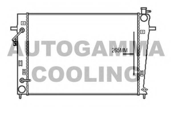 AUTOGAMMA 107376 Радіатор, охолодження двигуна
