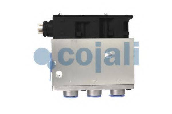 COJALI 2309112