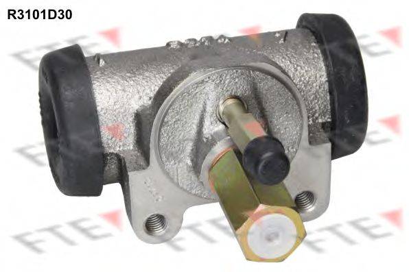 FTE R3101D30