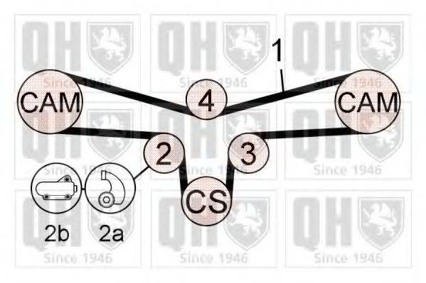 QUINTON HAZELL QBK669 Комплект ременя ГРМ