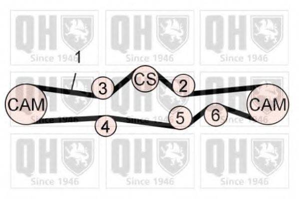QUINTON HAZELL QBK768 Комплект ременя ГРМ