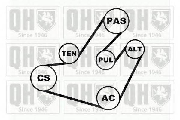 QUINTON HAZELL QDK66 Полікліновий ремінний комплект