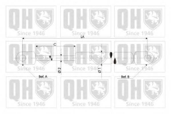 QUINTON HAZELL QTS828017 Газова пружина, капот