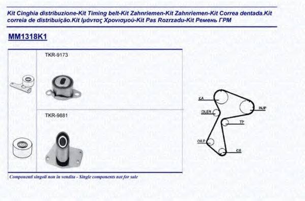 MAGNETI MARELLI 341313181101 Комплект ременя ГРМ